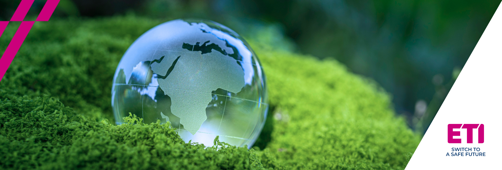 Switch to Sustainable