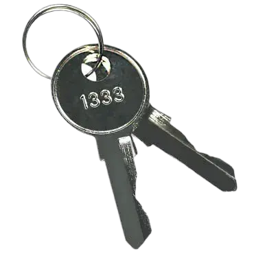 Obraz KEY-1333