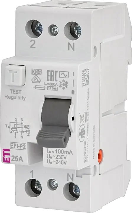 Obraz EFI-P2 AC 25/0.1