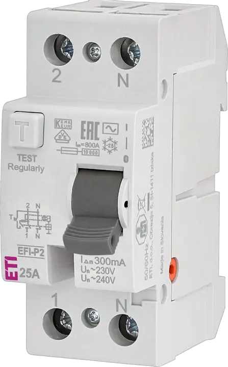 Obraz EFI-P2 AC 25/0.3