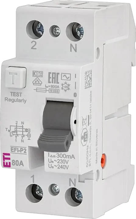 Obraz EFI-P2 AC 80/0.3