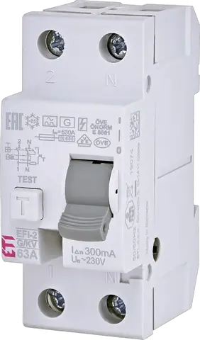 *EFI-2 A G/KV 63/0.3