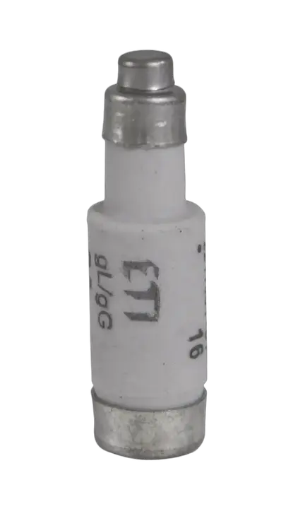 Obraz D01 gG 16A/400V