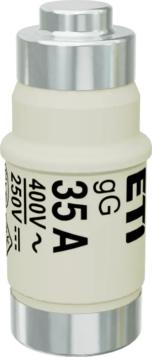 Obraz D02 gG 35A/400V