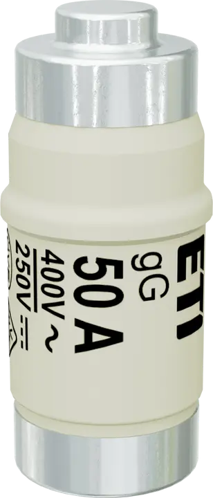 Obraz D02 gG 50A/400V
