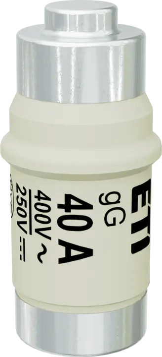 Obraz D02 gG 40A/400V