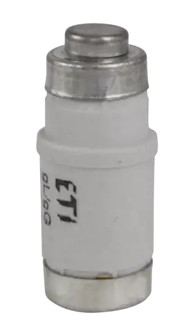 D02 gG 40A/400V