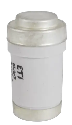 Obraz D03 gG 100A/400V