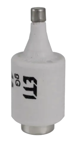 Obraz DII DZ/gF 20A/500V