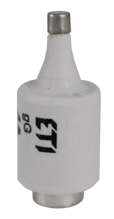 Obraz DII gG 2A/500V