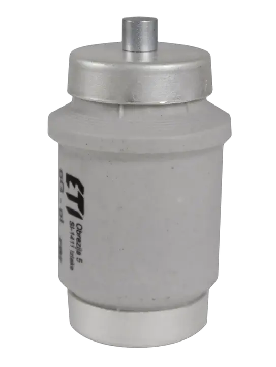 Obraz DIV DZ 80A/500V