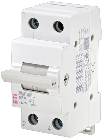Obraz SSQ  163