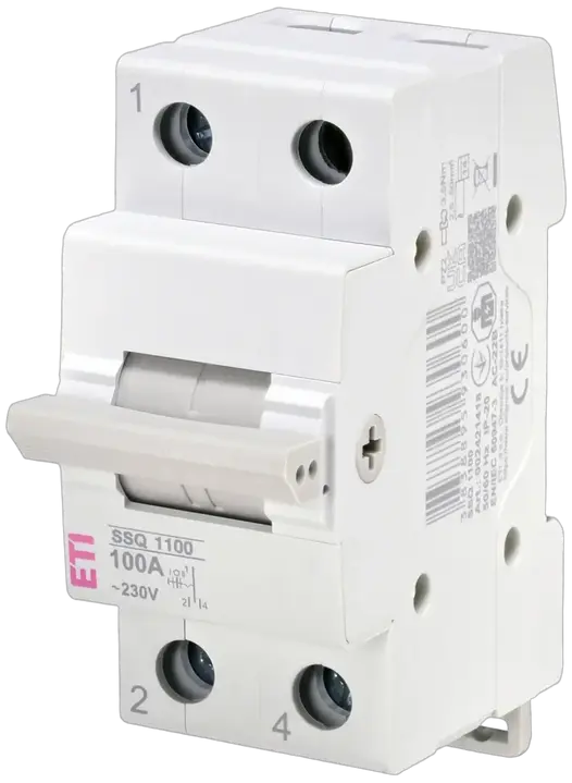 Obraz SSQ  1100