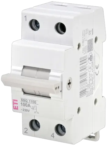 Obraz SSQ  1100