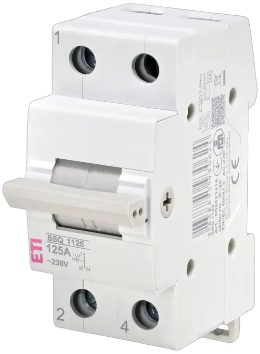 Obraz SSQ  1125