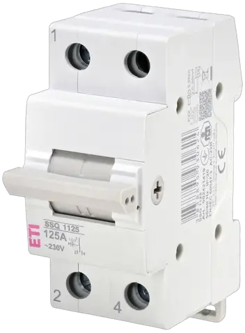 Obraz SSQ  1125