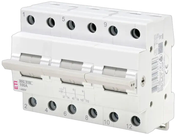 Obraz SSQ  3100