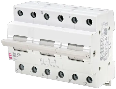 Obraz SSQ  3100