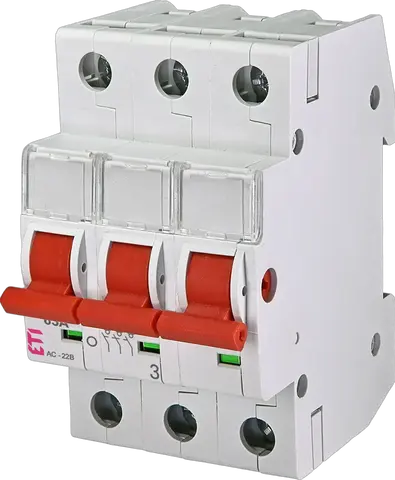 Obraz SV 363 3p 63A