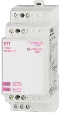 Obraz EFM400