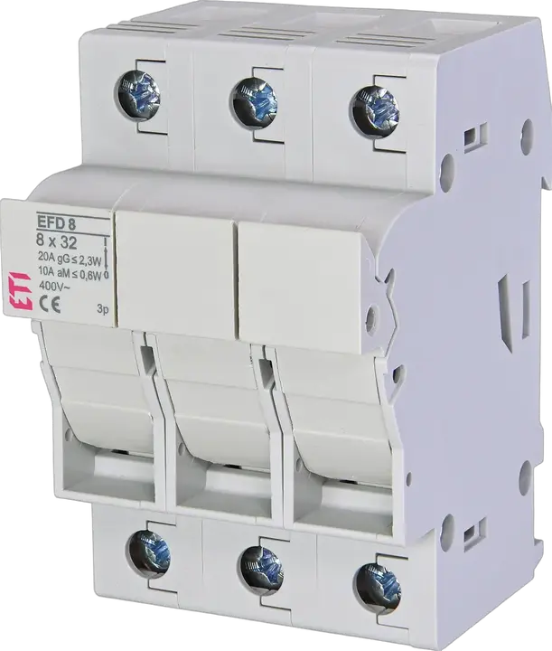 Obraz EFD 8 3p
