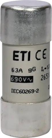 CH22x58 gG 63A/690V