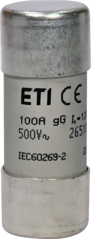 CH22x58 gG 100A/500V