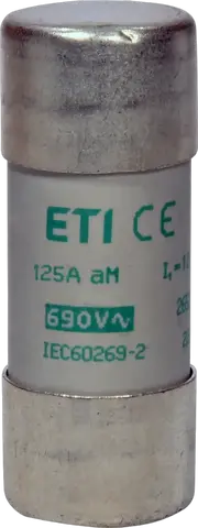 CH22x58 aM 125A/500V