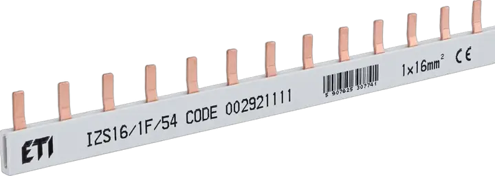 Obraz IZS16/1F/54 (1m)