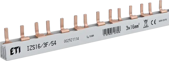 Obraz IZS16/3F/54 (1m)