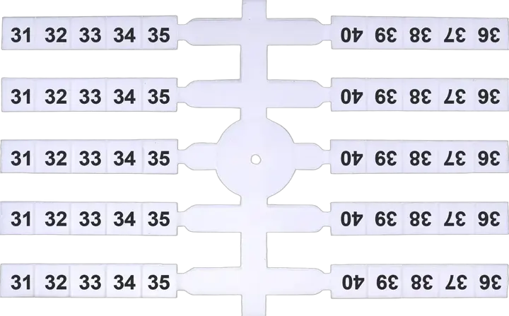 Obraz EO3 31-40 (x200)