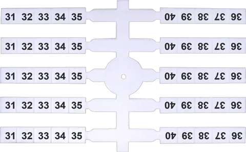 Obraz EO3 31-40 (x200)