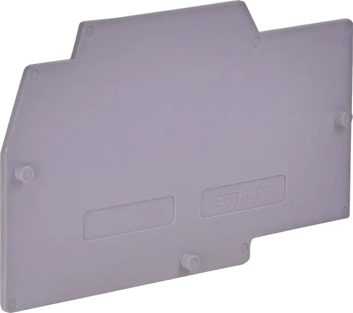 Obraz ESC-SFR.6/PT