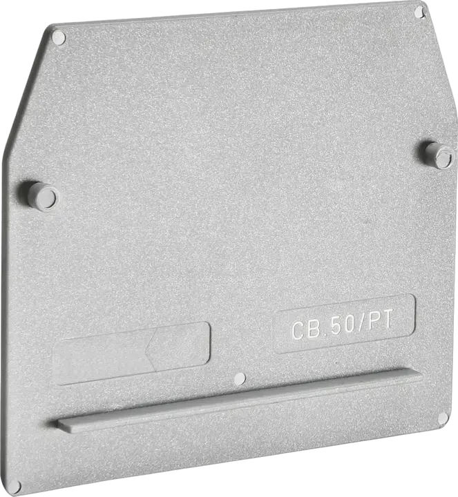 Obraz ESC-CBD.50/PT