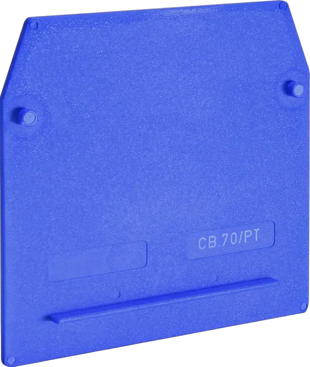 Obraz ESC-CBD.70/PTB