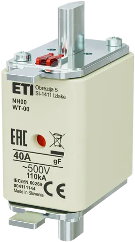 Obraz NH00 gF 40A/500V G