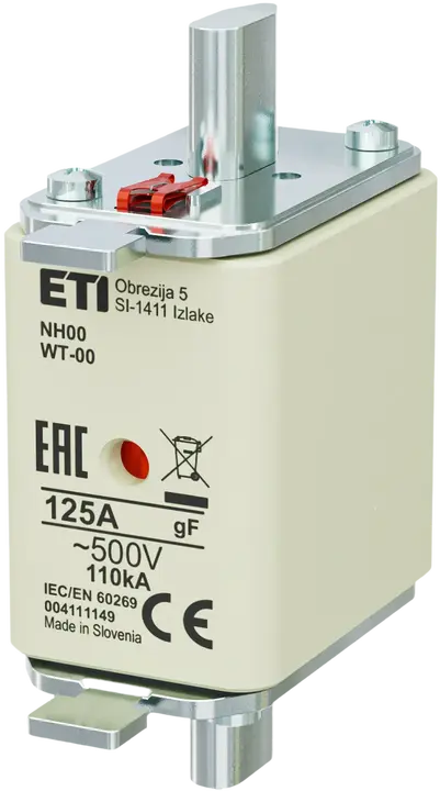 Obraz NH00 gF 125A/500V G