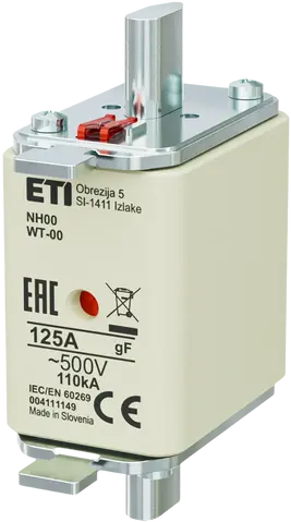 Obraz NH00 gF 125A/500V G
