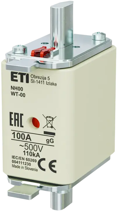 Obraz NH00 gG 100A/500V G