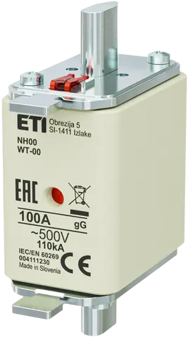 NH00 gG 100A/500V G