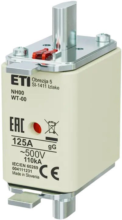 Obraz NH00 gG 125A/500V G