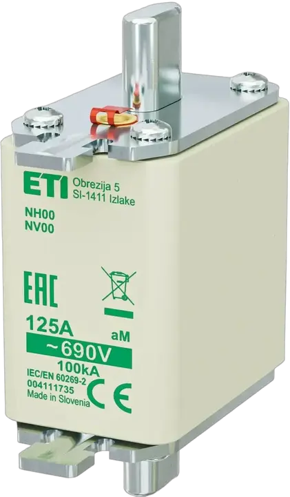 Obraz NH00 aM 125A/690V