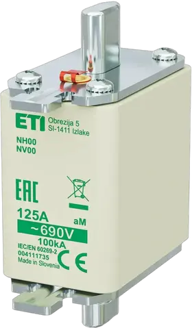 Obraz NH00 aM 125A/690V