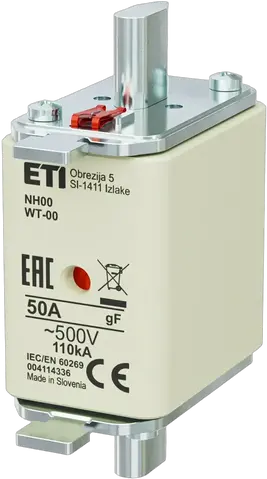 Obraz NH00 gF 50A/500V