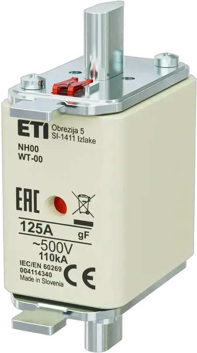 Obraz NH00 gF 125A/500V