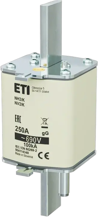 Obraz NH2/K gG 250A/690V