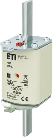 NH2C gG 25A/500V G