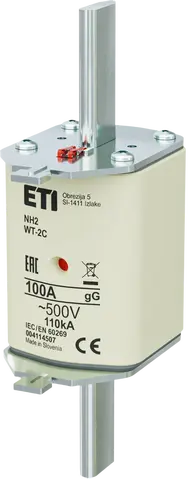 NH2C gG 100A/500V G