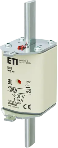 NH2C gG 125A/500V G