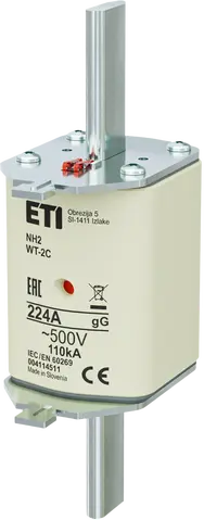 NH2C gG 224A/500V G